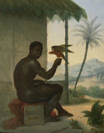 Brasilianmusta Tropical Birdin kanssa od Nicolas Antoine Taunay