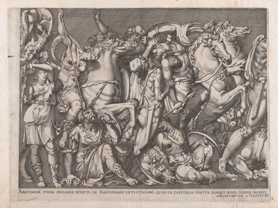 Mirror of Roman Magnificence: Battle of the Amazons, 1559., 1559. od Nicolas Beatrizet