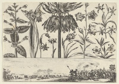 Horizontální panel s řadou květin nad vlysem s bitevní scénou v krajině, ..., 1645. od Nicolas Cochin