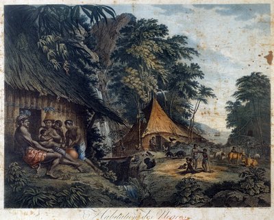 Domov černých od Nicolas Colibert