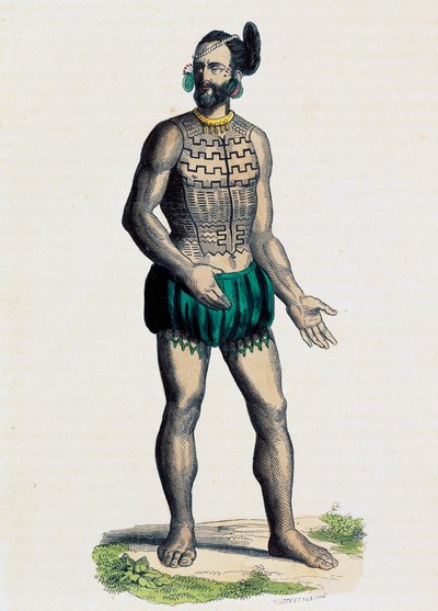 Pochází ze souostroví Romanzoff (Oceánie) od Nicolas Dally