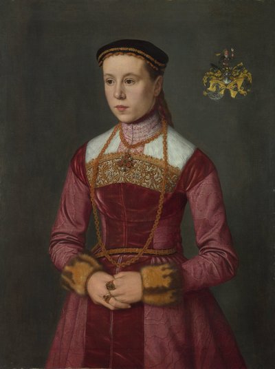 Portrét mladé dámy od Nicolas Neufchatel