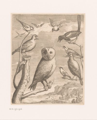 Sova a další ptáci Alouco Hibou (titul na objektu) Ptáci ze zoo Versailles (název série) od Nicolas Robert (possibly)