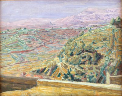 Pohled z Castle Square, Cagnes od Niels Larsen Stevns
