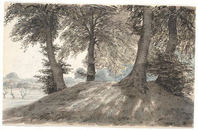 "Hopping Hill u Nysø" od Niels Skovgaard