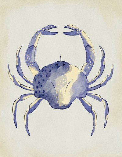 Akvarelový modrý krab od Nikita Jariwala