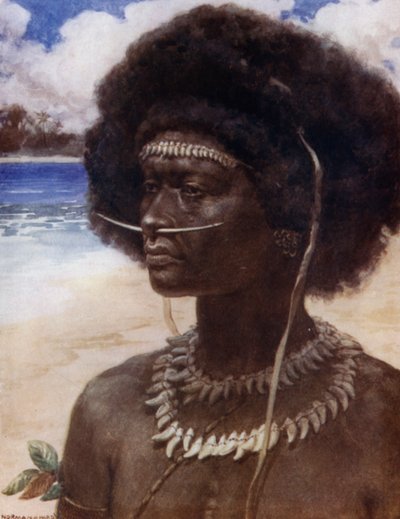 A New Guinea Dandy (barevné lito) od Norman Hardy