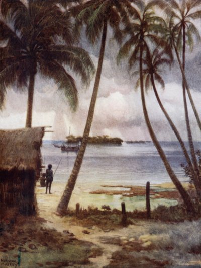 Bouřlivý den v laguně Rubiana na Šalamounových ostrovech (barevné lito) od Norman Hardy