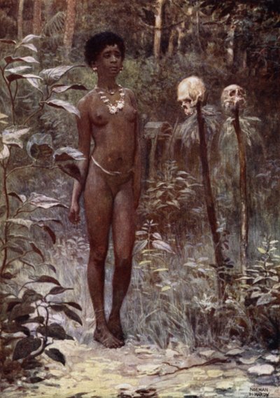 Tapu Virgin, Britské Šalamounovy ostrovy (barevné lito) od Norman Hardy