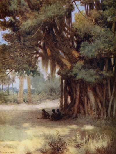 Pod Banyan Tree, ostrov Malekula, Nové Hebridy (barevné lito) od Norman Hardy