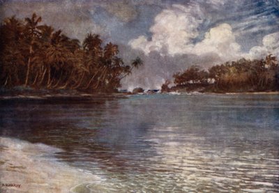 Od útesu a palmy (barevné lito) od Norman Hardy