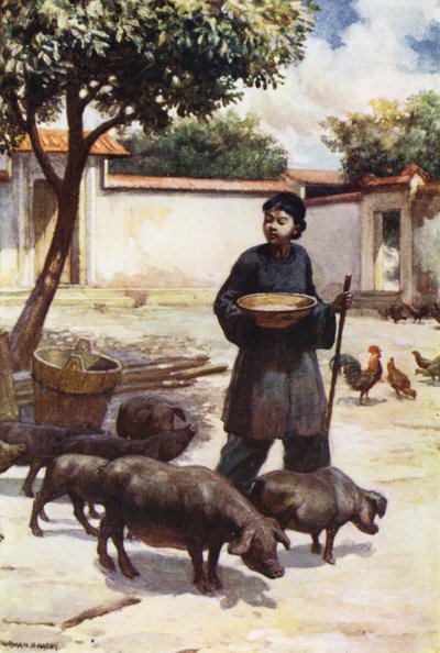 Závěsný od Norman Hardy