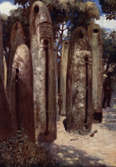 Drum Grove at Mele, Nové Hebridy (barevné lito) od Norman Hardy