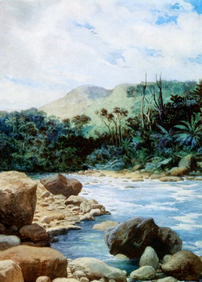 Krajina v Eromanga, Nové Hebridy, 1908 od Norman Hardy
