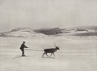 Jízda na lyžích se soby na horách od Norwegian Photographer