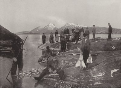 Mytí Klip-fish od Norwegian Photographer