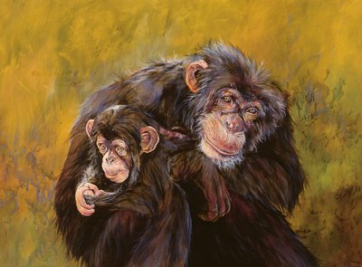 Šimpanzi (akryl na plátně) od Odile Kidd