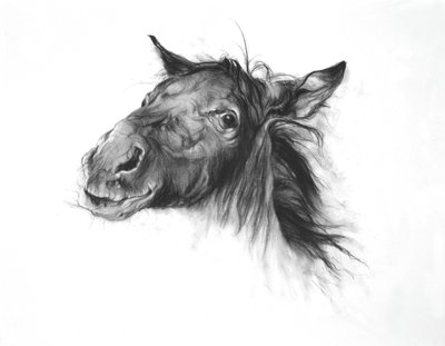 Colt, 2002 (uhel na papíře Fabriano) od Odile Kidd