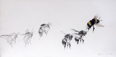Letový vzor, 2014 (tužka, akryl na dřevěném podkladu) od Odile Kidd