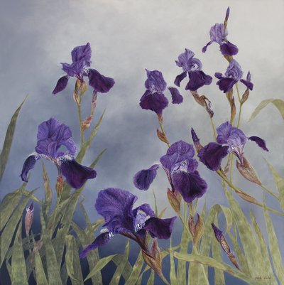 Iris hybrida, 2015 (akryl na dřevěném podkladu) od Odile Kidd