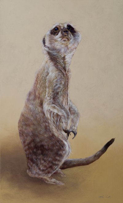 Surikata 2, 2010 (akryl na dřevě) od Odile Kidd