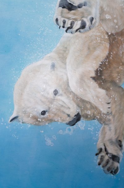 Balet ledního medvěda, detail, 2012 (akryl na skleněném vejci) od Odile Kidd