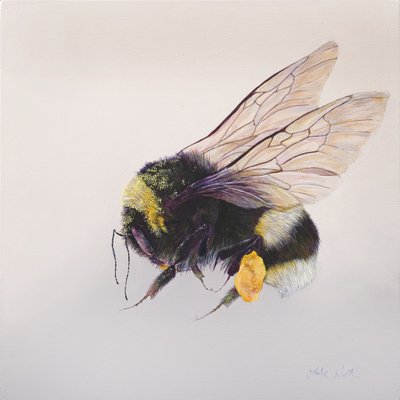 Pylový váček 2, 2011 (akryl na dřevě) od Odile Kidd