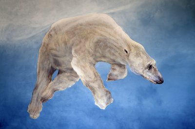 Ursus maritimus 2 (akryl na plátně natřeném gesso) od Odile Kidd