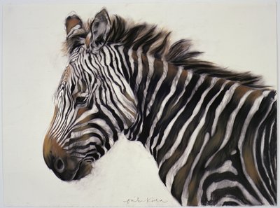 Zebra, 2002 (uhel a křída) od Odile Kidd