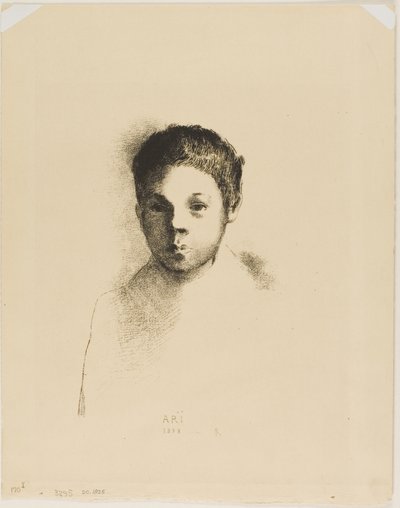 Taky od Odilon Redon