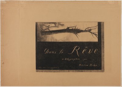 Obálka - titulní strana, z knihy In Dreams (Ve snech) od Odilon Redon