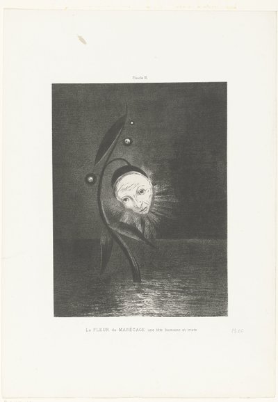Bažinný květ, lidská a smutná hlava La FLEUR du MARÉCAGE une tête humaine et triste (název na objektu) od Odilon Redon