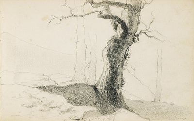 Kresba z alba s názvem „Baskicko“, 1862-63 od Odilon Redon