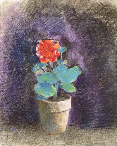 Pelargónie, od Odilon Redon