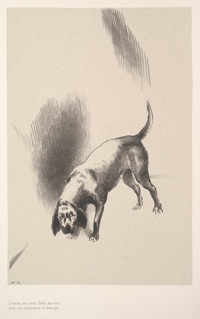Upřel na mě oči s tak zvláštním výrazem, 1896. od Odilon Redon