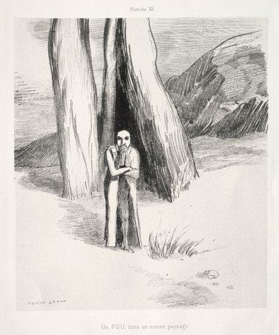Pocta Goyovi: Šílenec v neutěšené krajině, 1885. od Odilon Redon