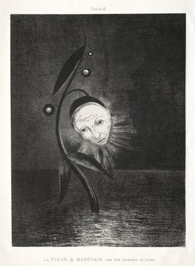 Pocta Goyovi: Bažinatá květina, smutná lidská hlava, 1885. od Odilon Redon