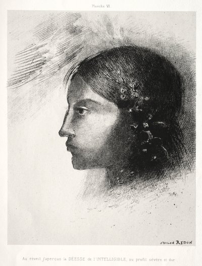Pocta Goyovi: Po probuzení jsem viděl bohyni srozumitelného, 1885. od Odilon Redon
