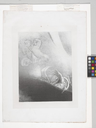 Spadne do propasti... (litografie na chine appliqué papíře) od Odilon Redon