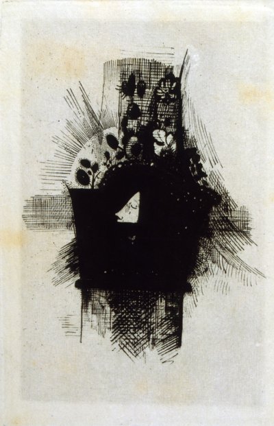 Zlé květiny od Odilon Redon