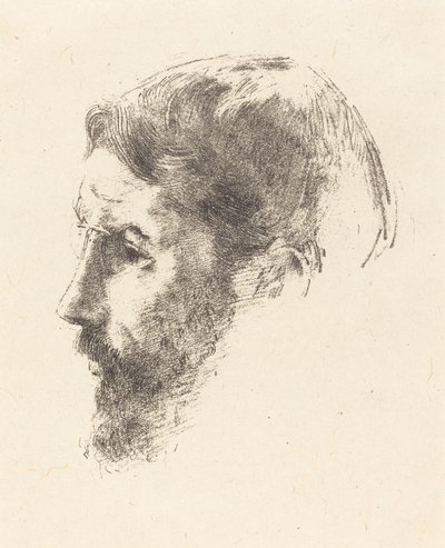 Pierre Bonnard od Odilon Redon