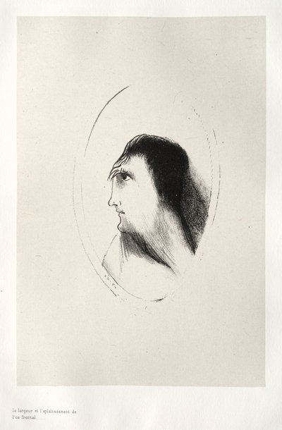 The Haunted House: The Width and Flatness of [the] Frontal [Bone], 1896. od Odilon Redon