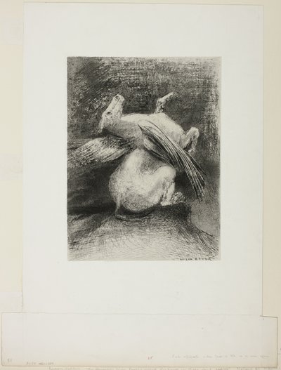 Impotentní křídlo nezvedlo zvíře do toho černého prostoru, deska 7 z 8 z "Les Origines" od Odilon Redon