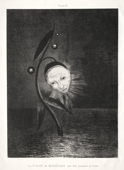 Marsh Flower, smutná lidská hlava od Odilon Redon
