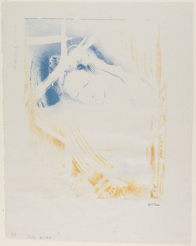 T v Sulami od Odilon Redon