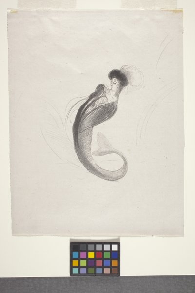Bez názvu (litografie na papíře chine volant) od Odilon Redon
