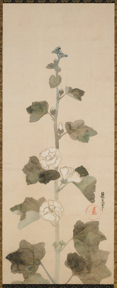 Hollyhocks bílé, období Edo, konec 17.-začátek 18. století. od Ogata Korin