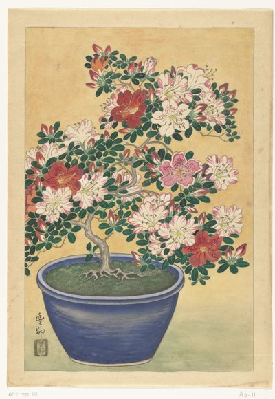 Kvetoucí azalka v modrém hrnci od Ohara Koson (signed by artist)