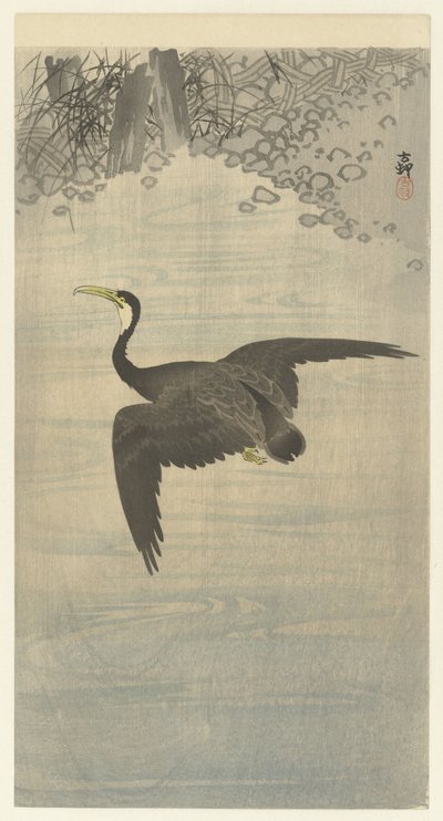 kormorán v letu od Ohara Koson