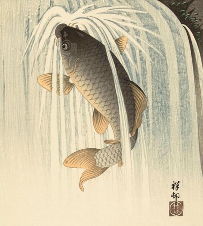 Kapr pod vodopádem od japonské umělkyně Ohary Koson od Ohara Koson
